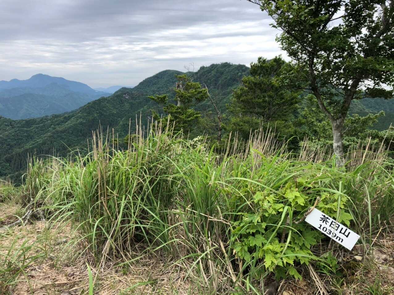 茶臼山（大分県）の写真