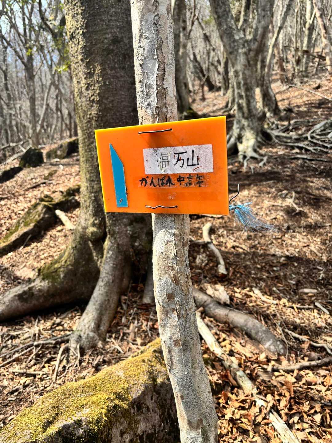 残りも怪我なく 頑張る👍✨