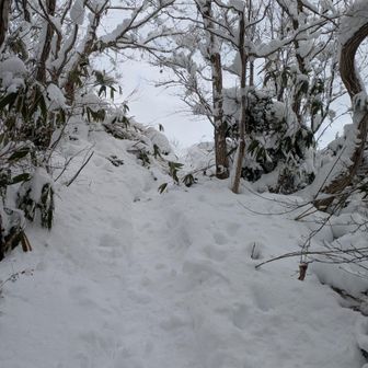 登山口から山頂はあっという間