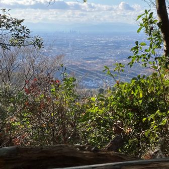 北歩道分岐の休憩所から名古屋方面👀