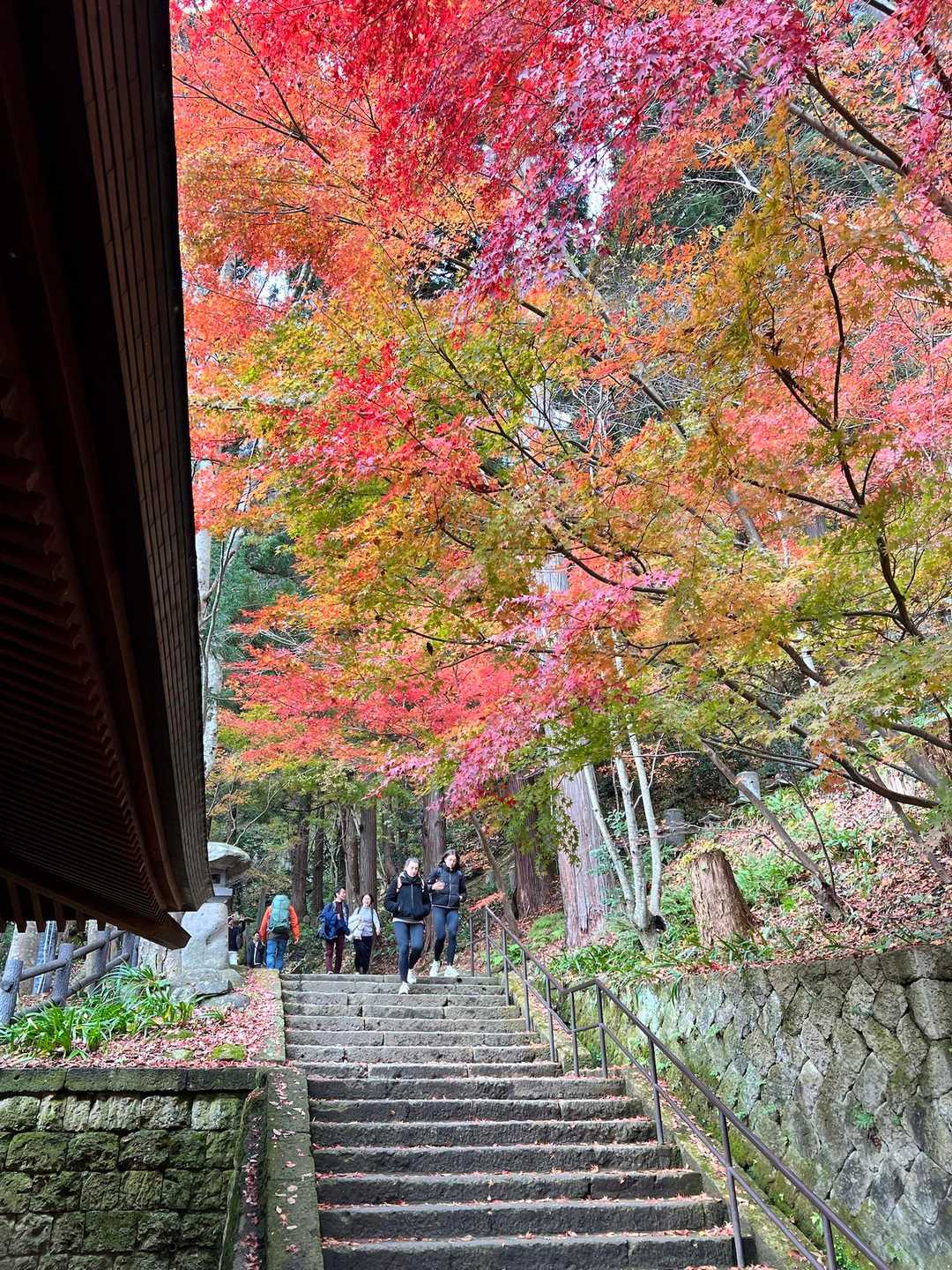 山寺駅-宝珠山 往復コースの写真