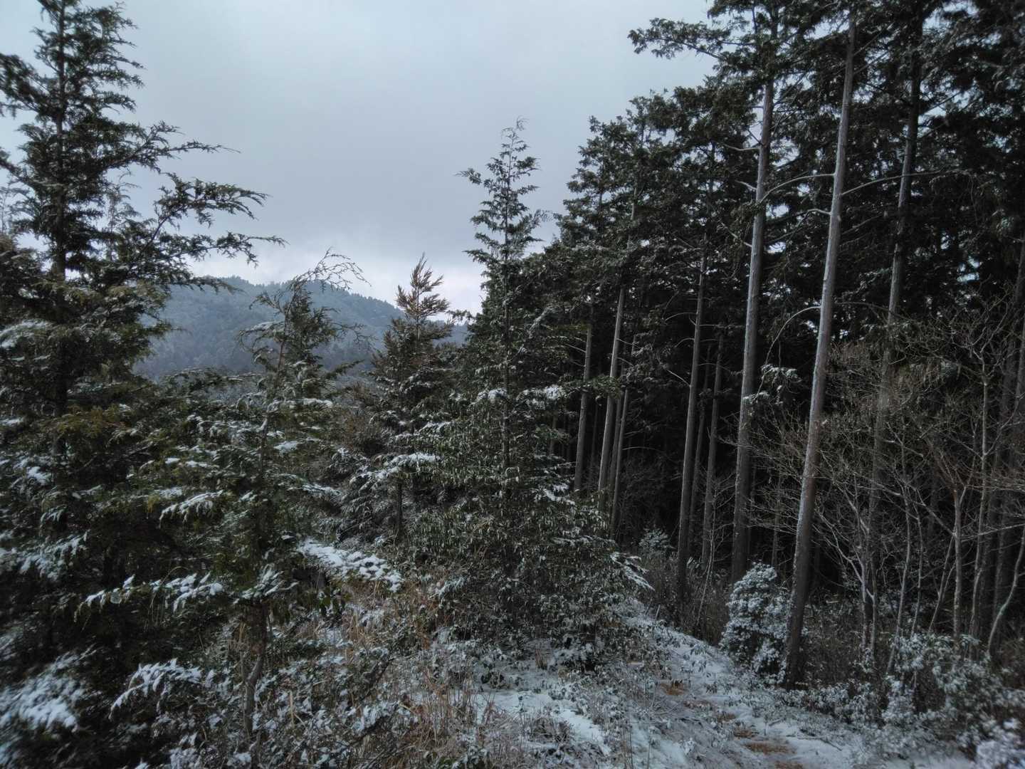 振り返るとなかなかいい景色