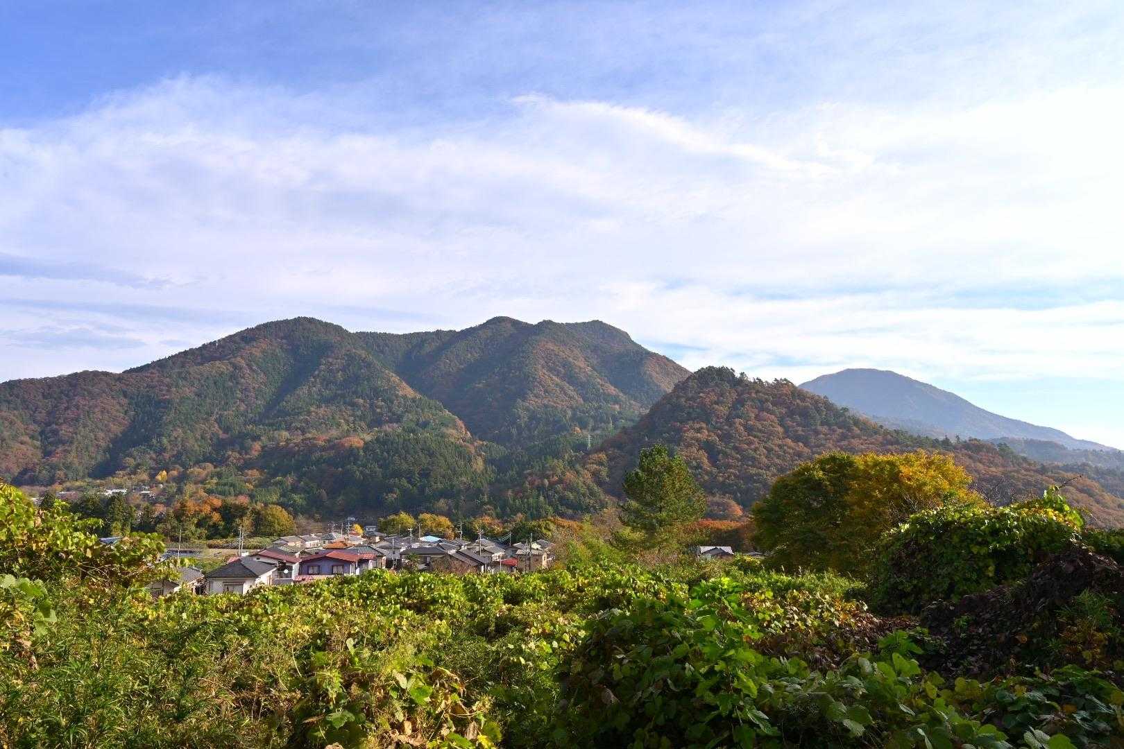 車道からも里山のいい景色☺️