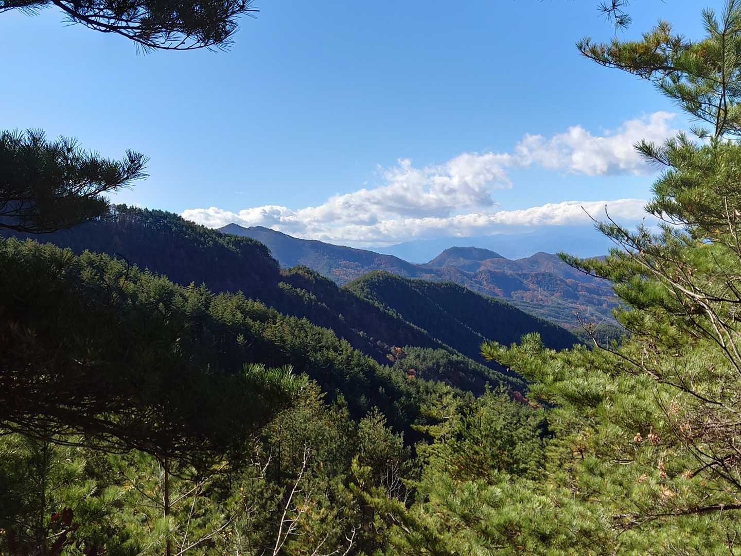登山道途中からの眺め👀