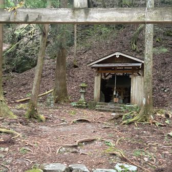 湯川一族が林業で昭和初期まで暮らしていたらしい
