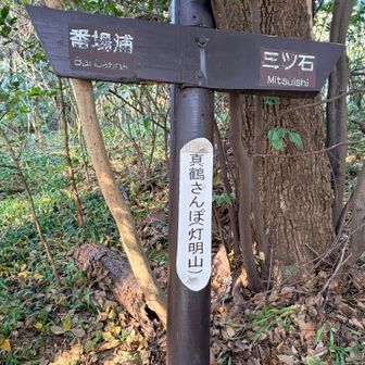 灯明山
昔は明かりを灯していたのだろうか。