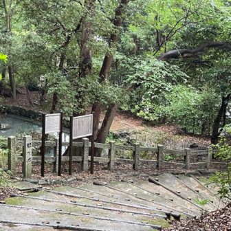 姥ヶ池。雰囲気いいなぁ。
何か写り込んでないかなぁ