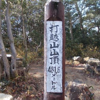 打越山で昼食と思ったが風があったので打越峠にした。