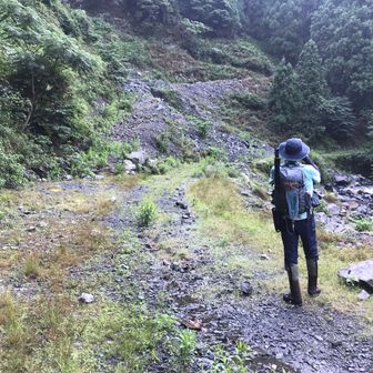 たの　よしひろ