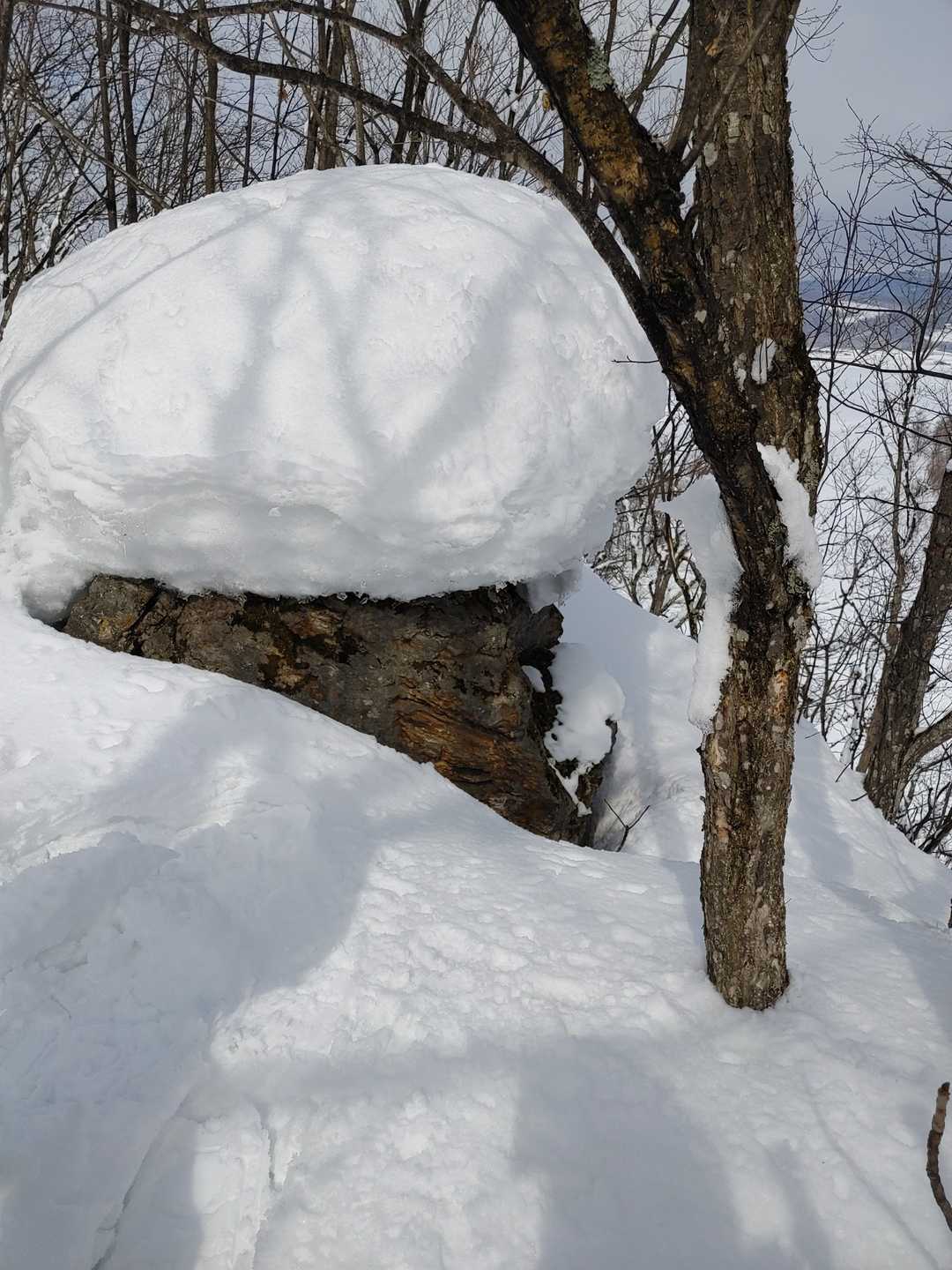 山頂標はなく巨岩が山頂