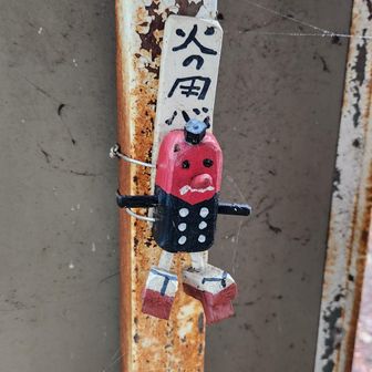 両崖山にもいたね君👺