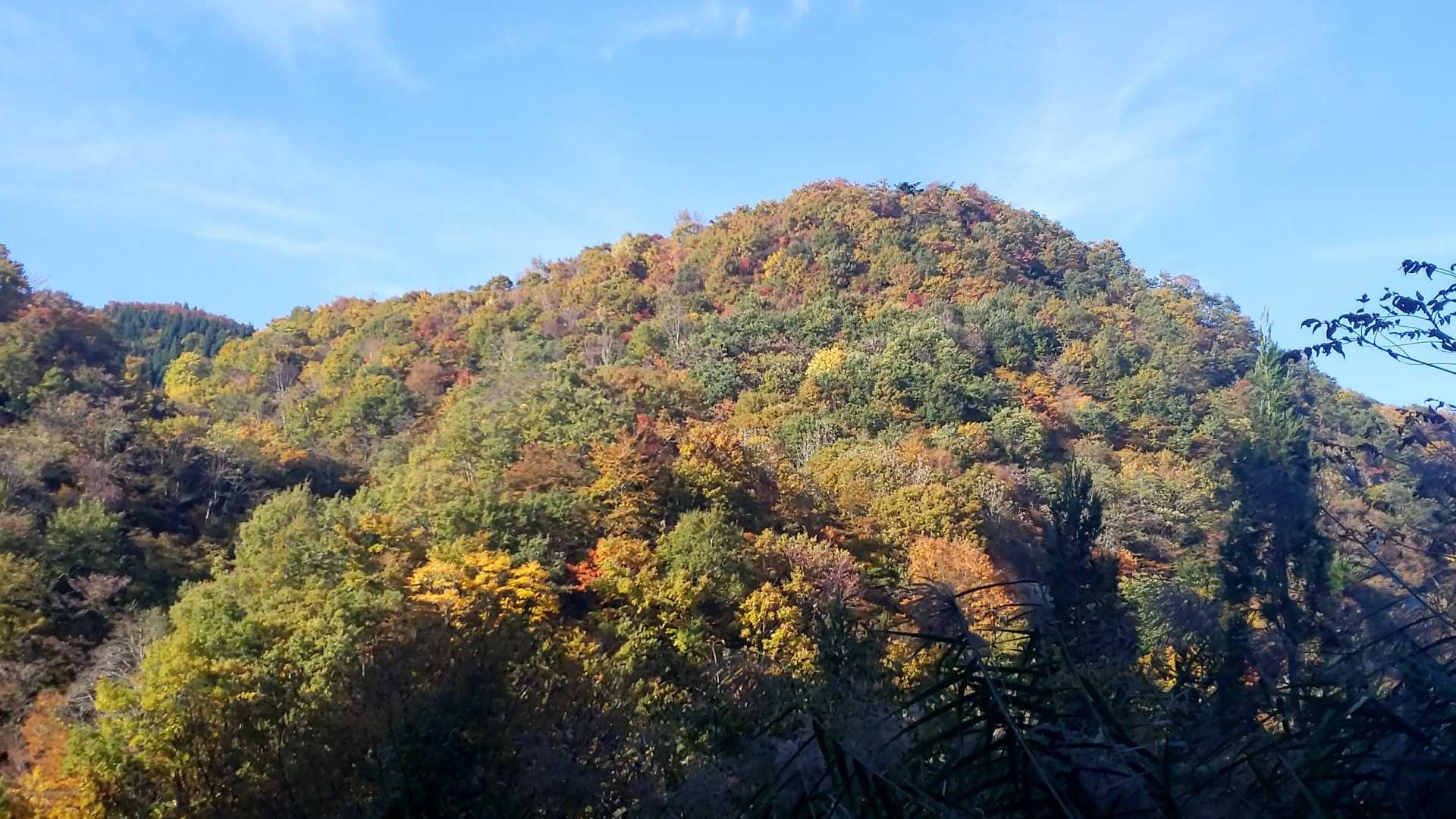 下山は一気に