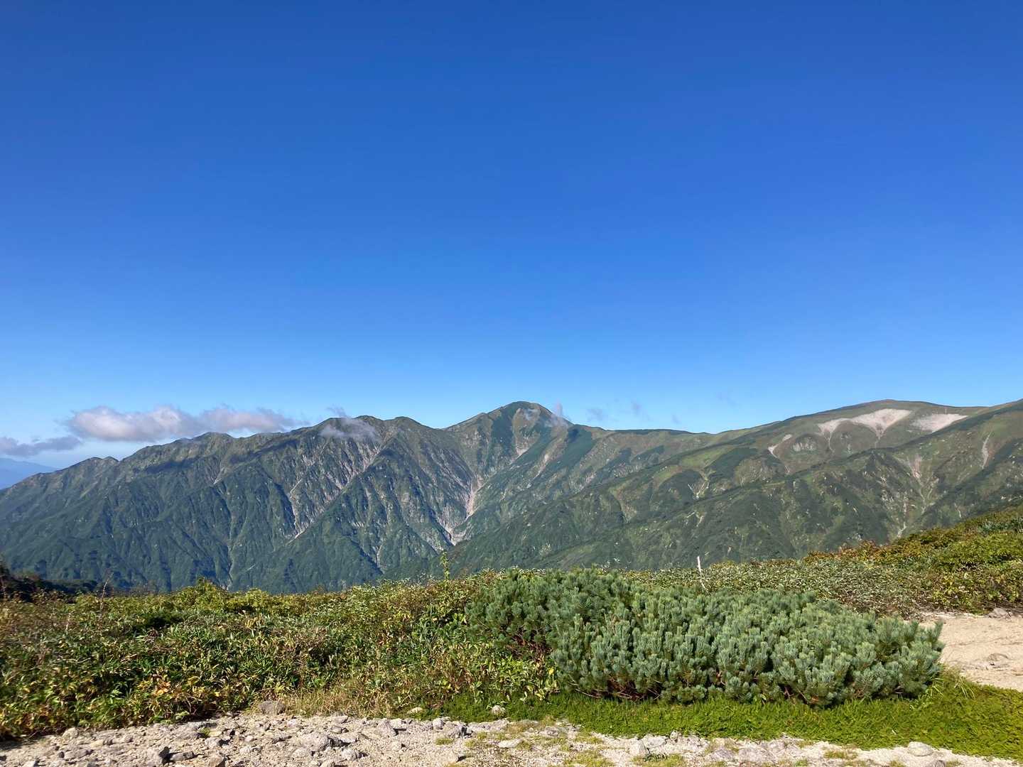 中央が大日岳