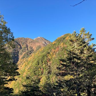 甲斐駒ヶ岳見えた