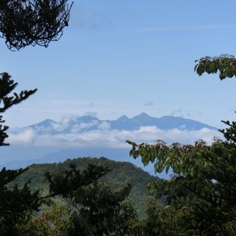 ツインテラスからの下り道で。八ヶ岳。
