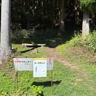 無事激下り終了👏
ここから林道歩きで周回繋ぎます✊