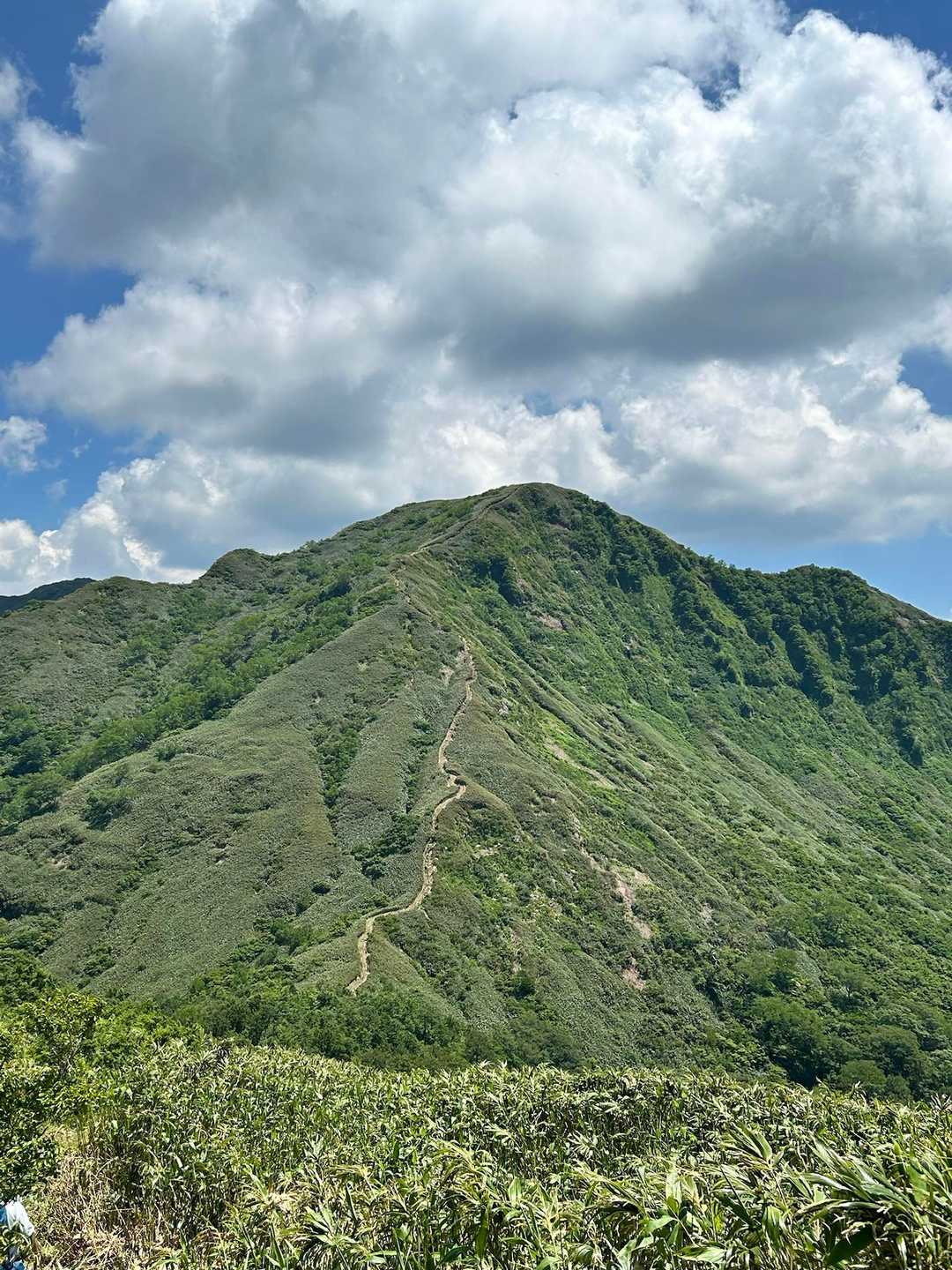 広域林道登山口-保月山-釈氏ヶ岳-中岳 往復コースの写真