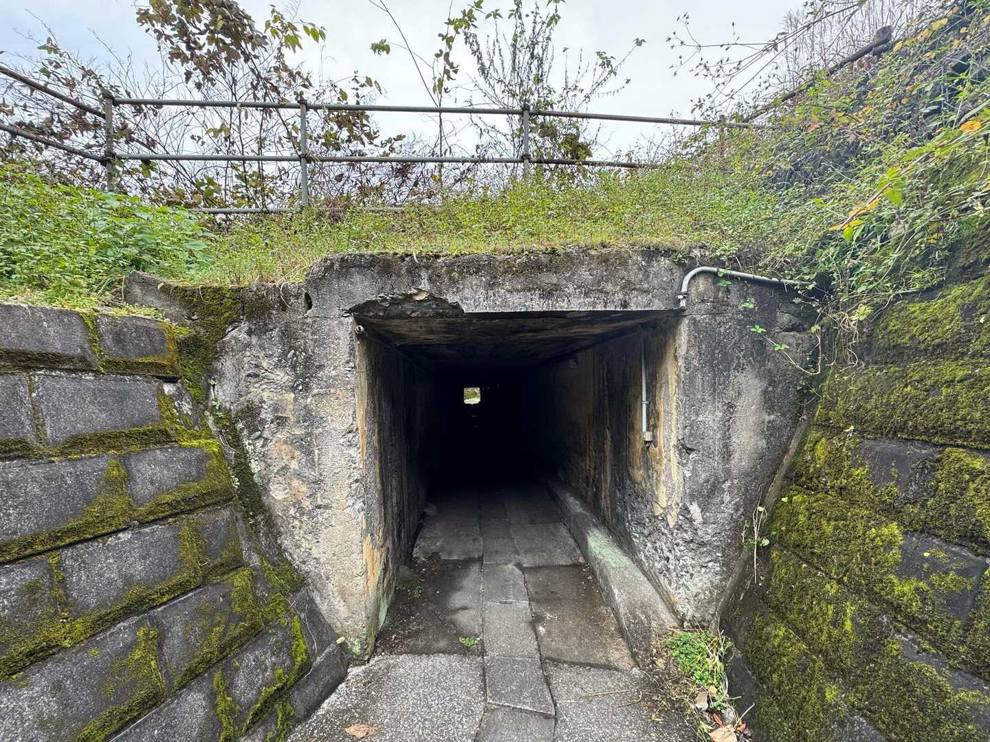 このトンネル、真っ暗で地味に怖かったです😰