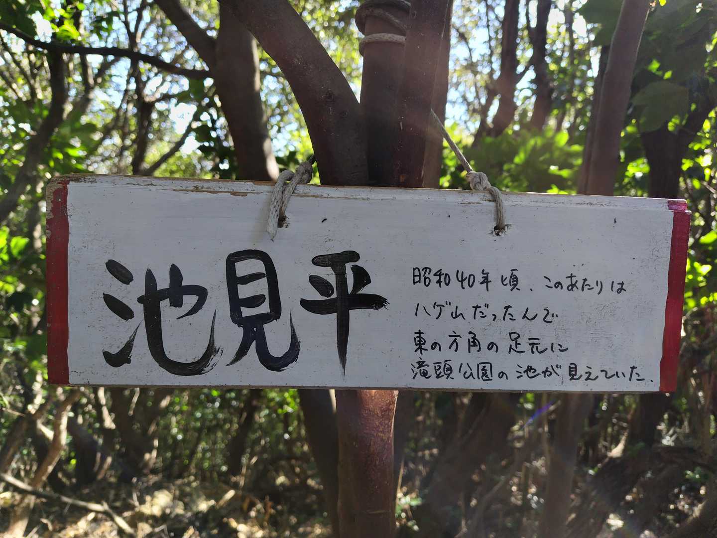 昔はハゲ山だったので滝頭公園の池が見えていたとのこと