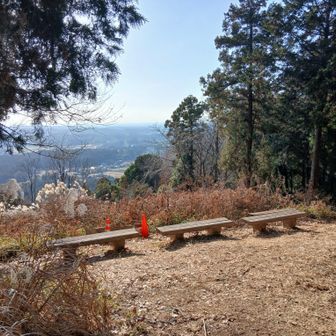 見晴らしの良いベンチがある