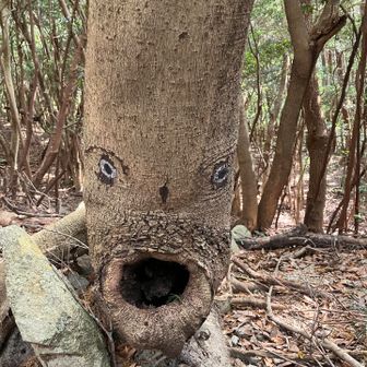 大佐野山からキャンプ場までは迷わず無事に下山できました🤭
8ピーク初getご馳走様でした😋