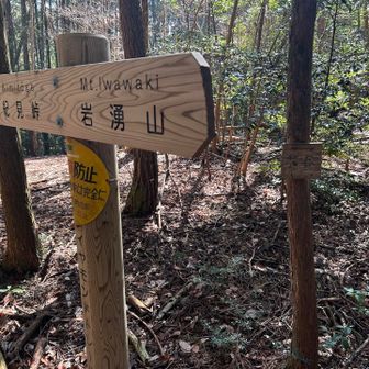 ボ谷方面への分岐