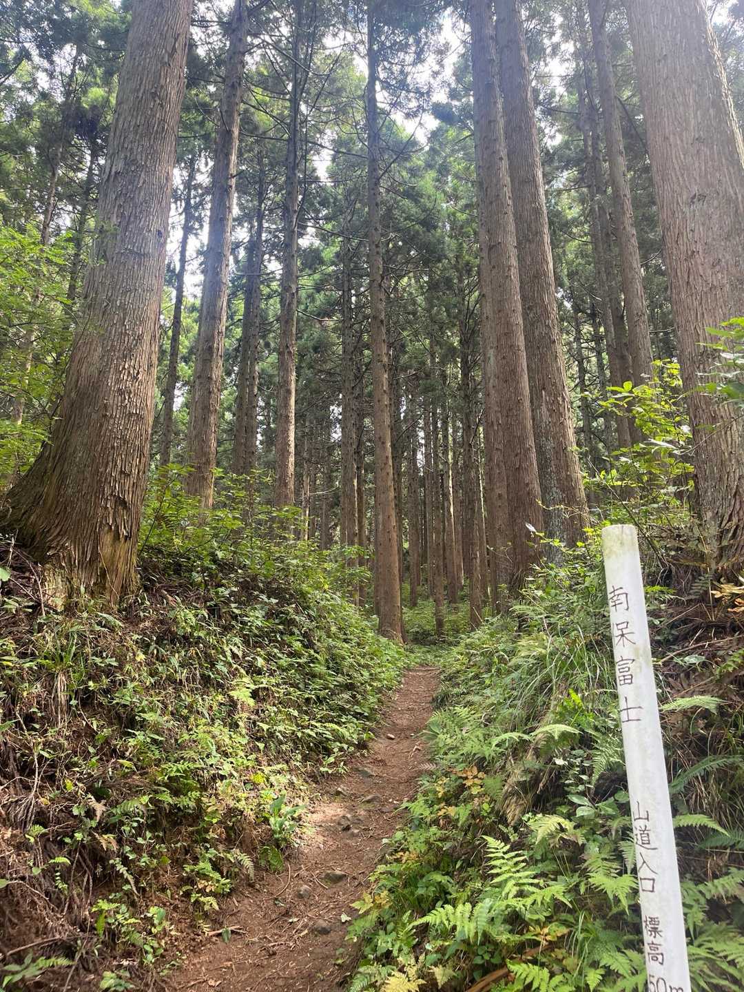 スタート