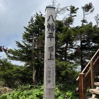 山頂