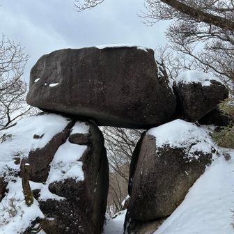 今日の真打ち✨

雪が降ったら会いたくなる石門