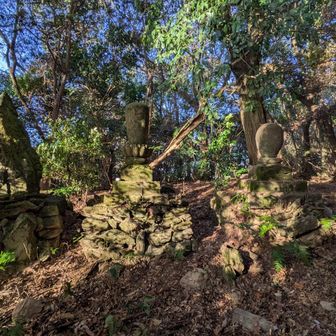 石僧都山　手前から入って藪を突き進んだけど、さすが戻って登り直すと山頂の裏にでました。