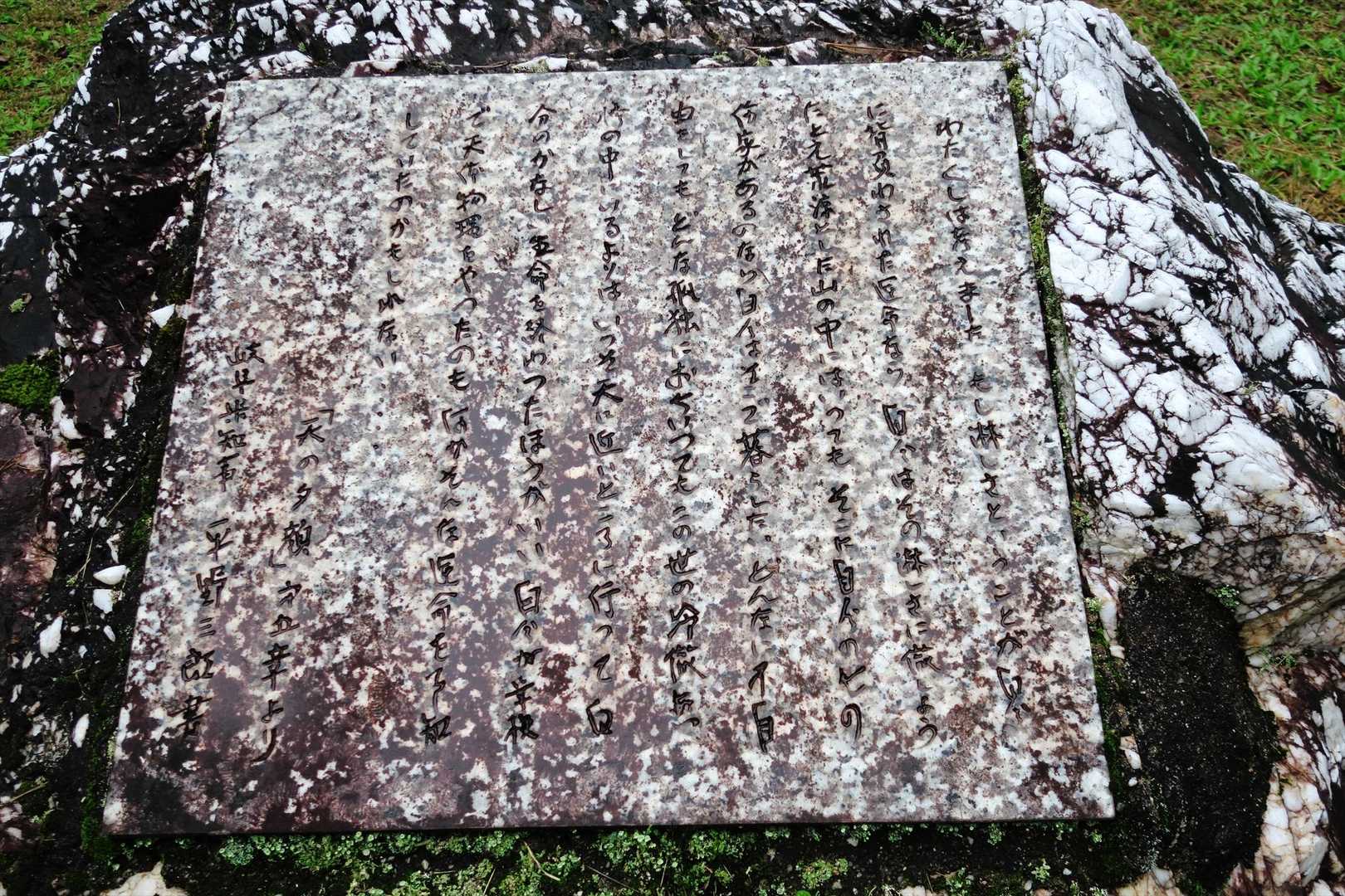 （第5章より）
わたくしは考えました。もし淋しさということが自分に背負わされた運命なら、自分はその淋しさに徹しよう。たとえ荒涼とした山の中にはいっても、そこに自分の心の住家があるのなら自分はそこで暮らしたい…