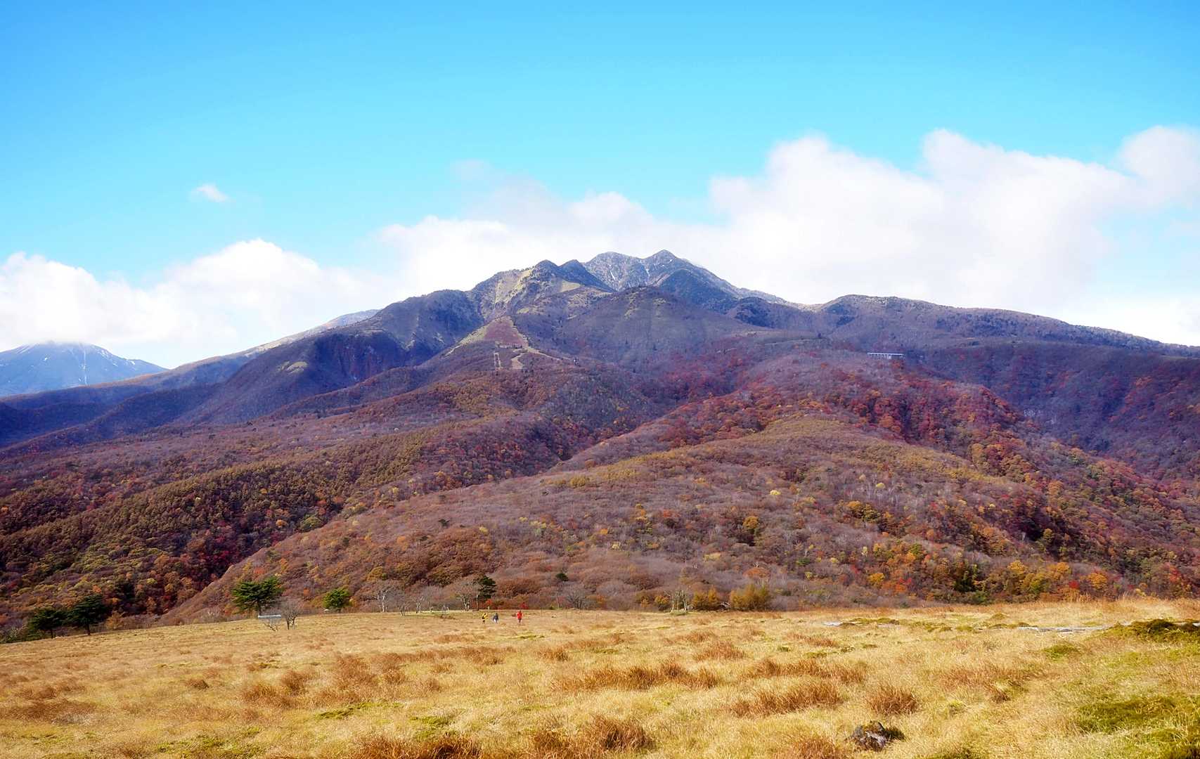 風が吹いて・・
寒くなってきた💦
さぁ、帰ろう😃
この草原を登ってくる登山者、発見👍
