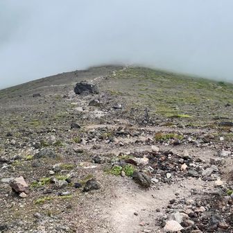 北山山頂はガス。行くのをやめます