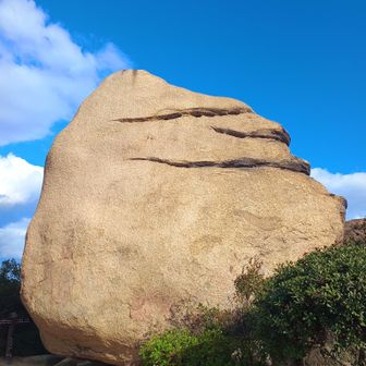 ジャックダニエル