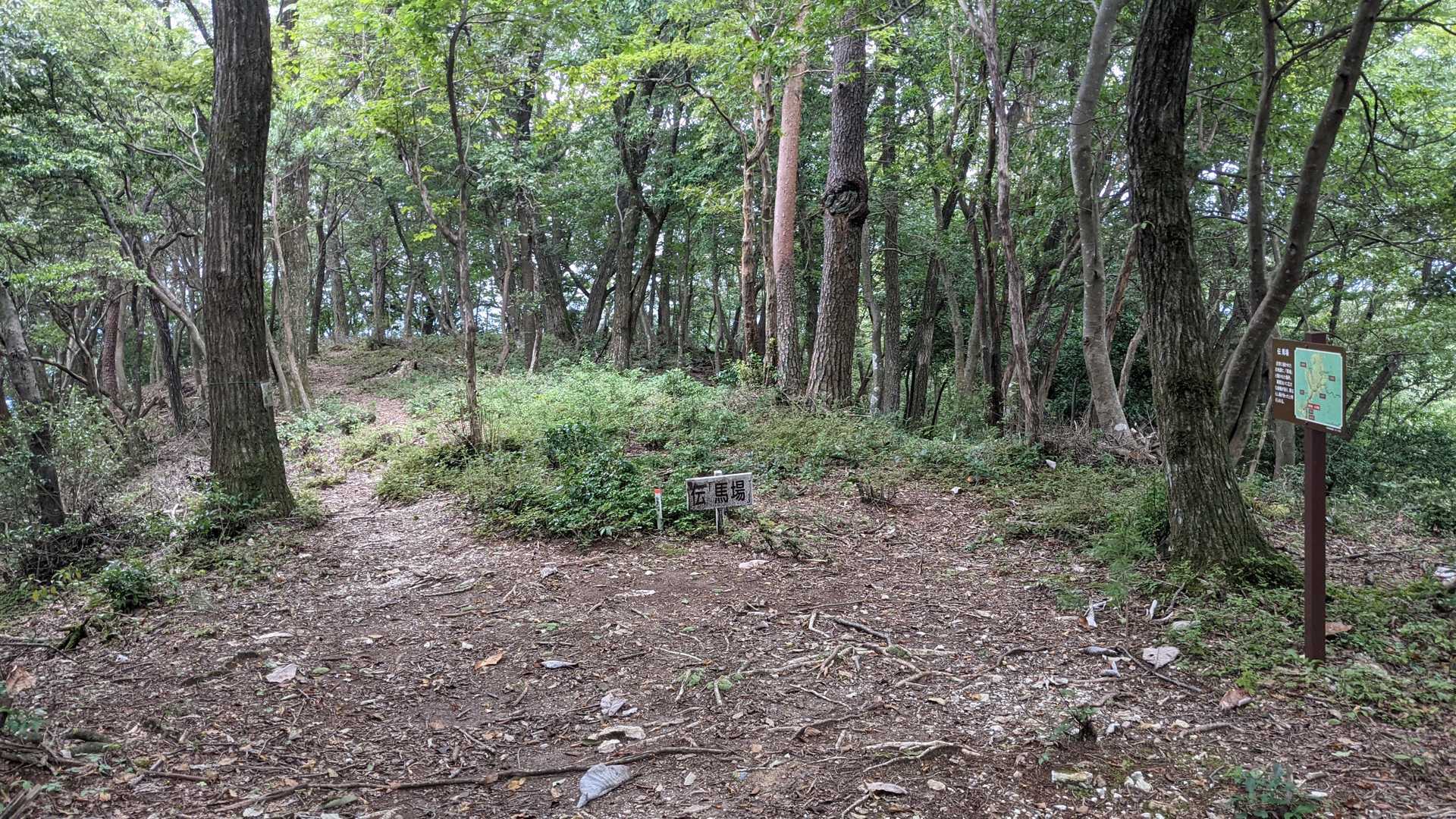 古城山 往復コースの写真