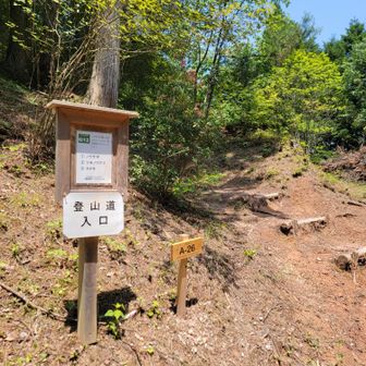 反対の登山口はAｰ26だった。