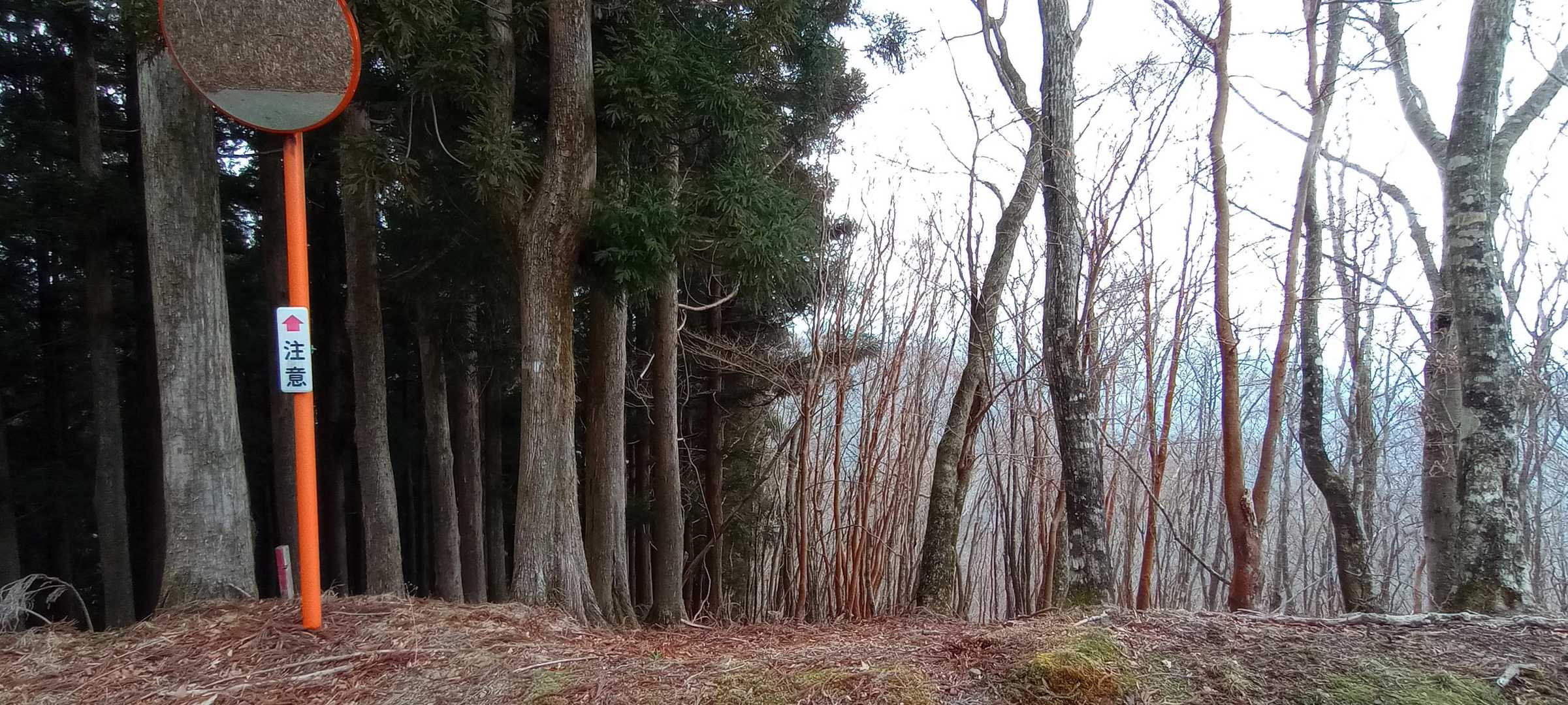 桃源洞の降り口