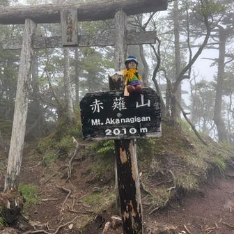 赤薙山ピーク✨帰路に寄れました‼️
すっかり霧の洗礼です😶‍🌫️