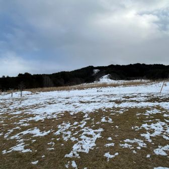 🙏氷点下の里山も無事に下山出来ました♪(๑ᴖ◡ᴖ๑)♪

🍀最後まで読んで頂き、ありがとうございます☺️