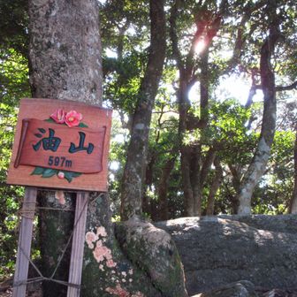 とうちゃーく🙌