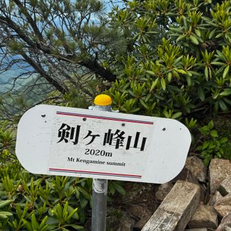 見晴らし良い