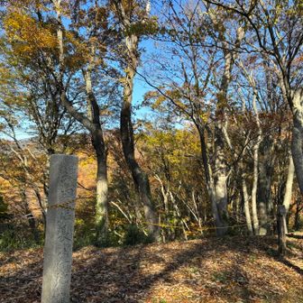 信長陣地から見る小谷山
戦う為に眺める山と、四季を楽しむ為に眺める山と時代は違っても同じ山と思うと感慨深かった