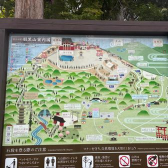 五重の塔から出発かと思ってたら違いました。