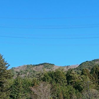 今日もありがとう