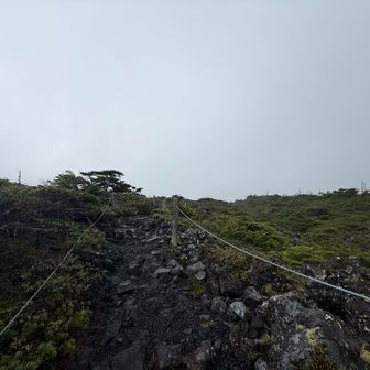 坪庭まで帰ってきました
もう普通に雨☂️です