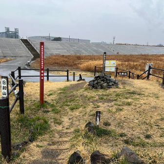 日和山越しの防潮堤