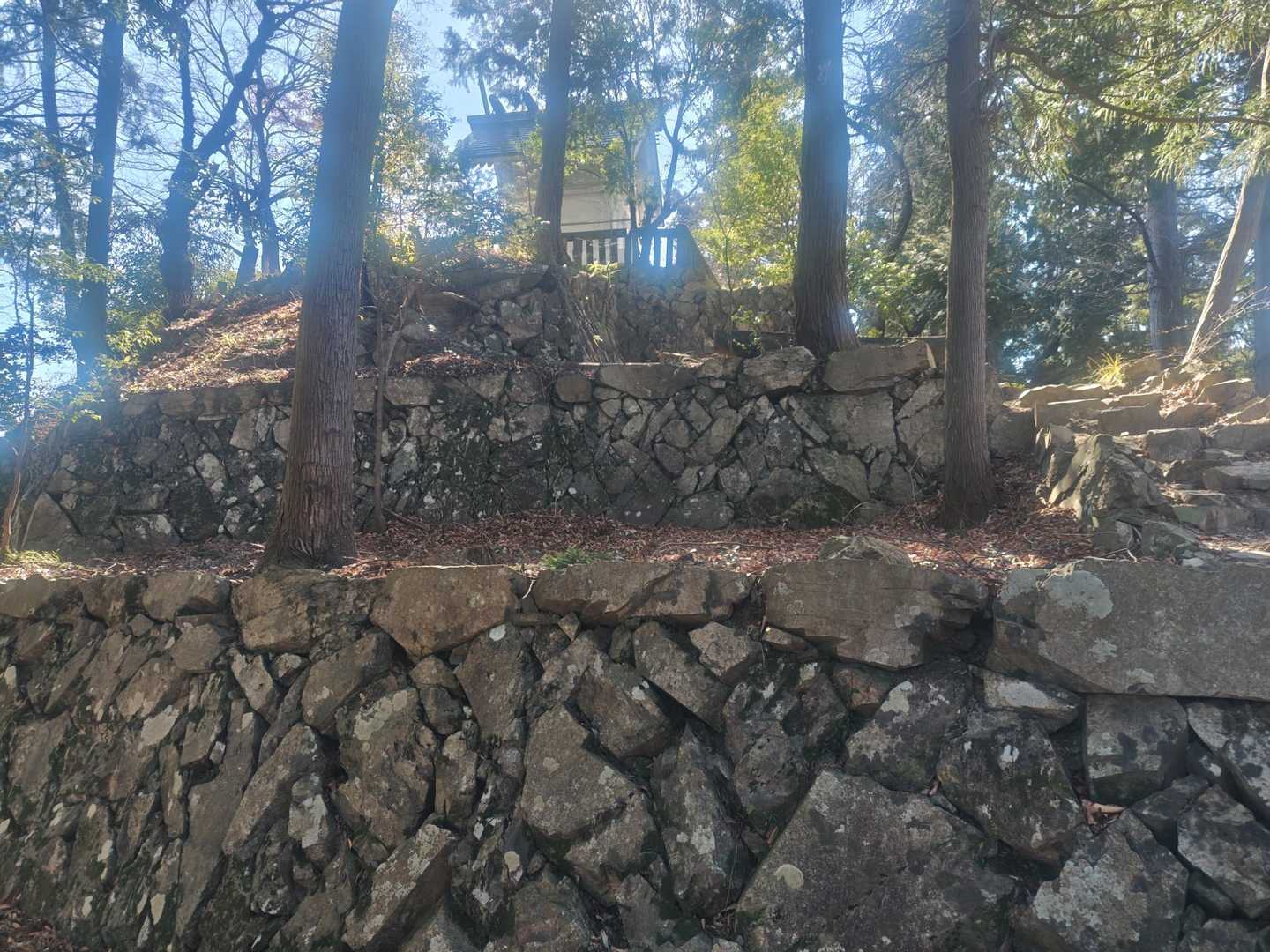 変電所の方に下るはずが、先に進んじゃったので今熊神社の裏から山頂に🤯