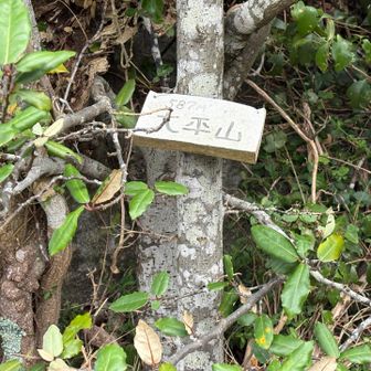 大平山山頂