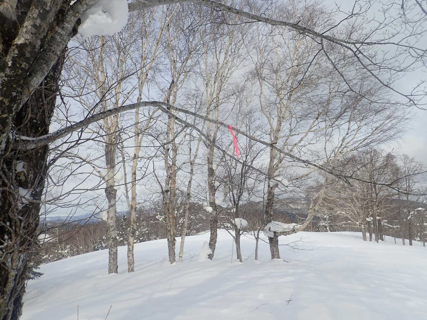 熊山の山頂ピンテ