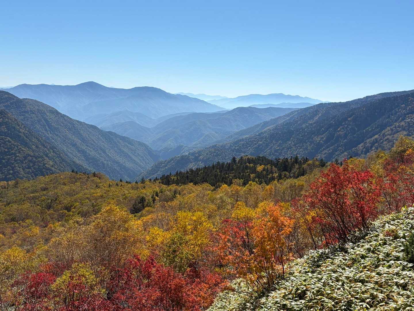 新中の湯ルート | 立ち昇る噴煙に地球の息吹を感じる北アルプス唯一の活火山の写真